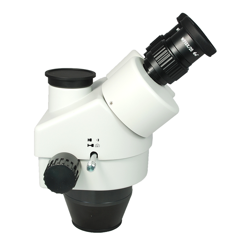 Microscope Body
